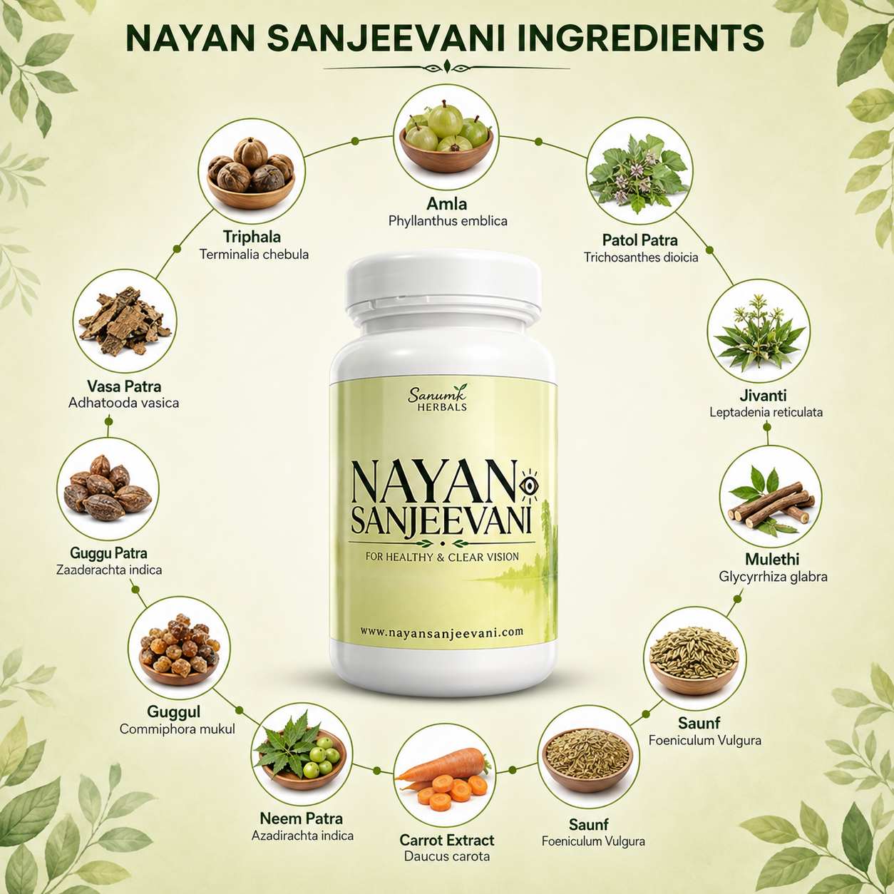 NayanSanjeevani – Ayurvedic Medicine for Eyes & Vision Wellness - Image 4